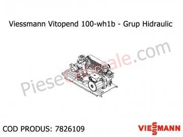 Poza Grup hidraulic centrale termice Viessmann Vitopend 100 WH1B 24 kw