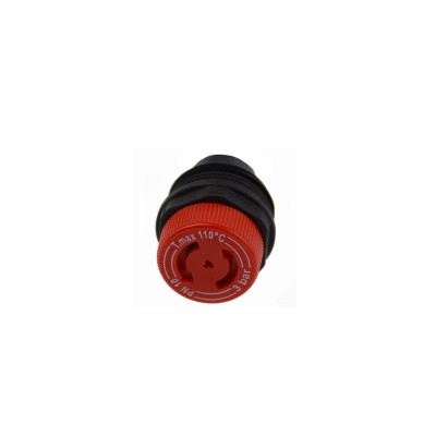 Poza Cap supapa siguranta universala compatibila cu Ferroli, Motan, Protherm, Viessmann si Saunier Duval. Poza 8978